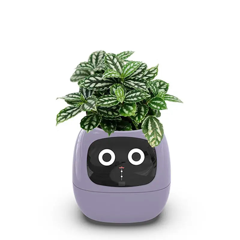 AI Smart Sensor Indoor Planter