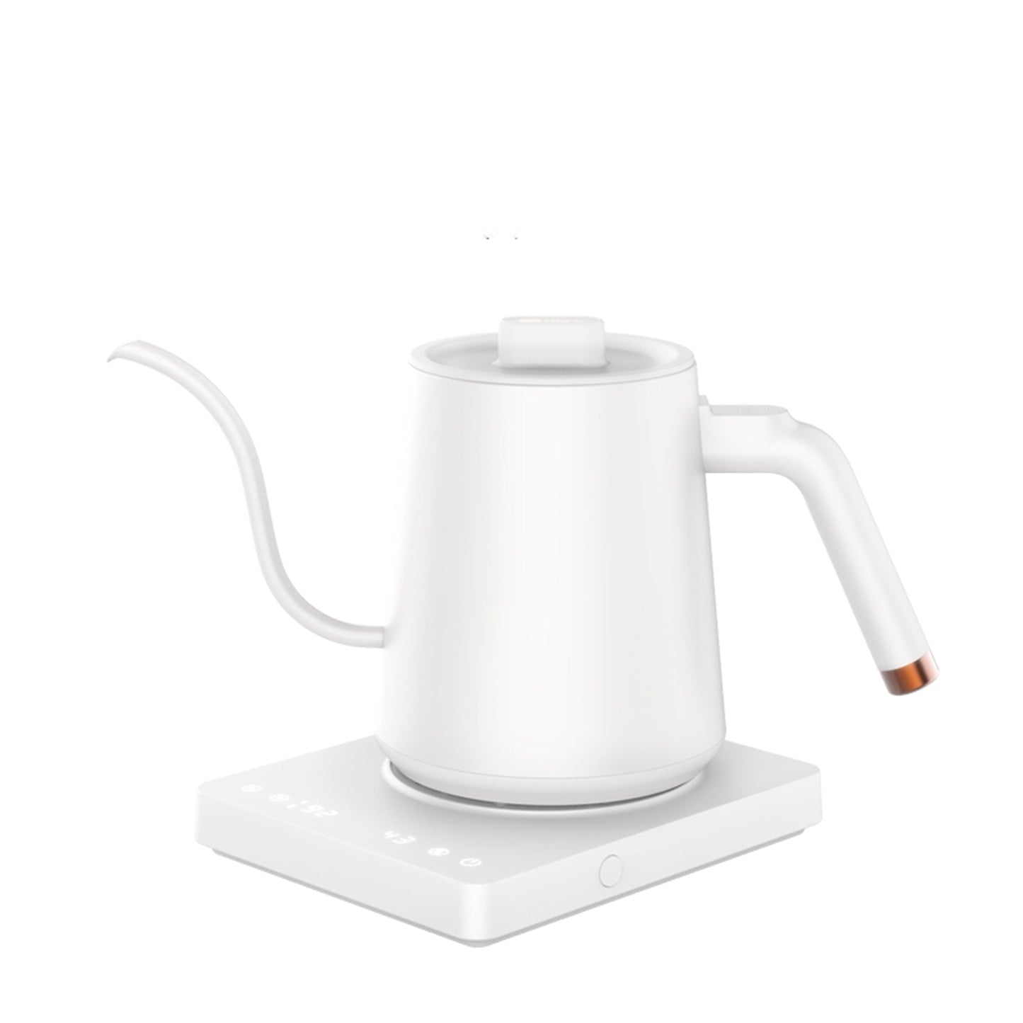 Electric Coffee Gooseneck Kettle